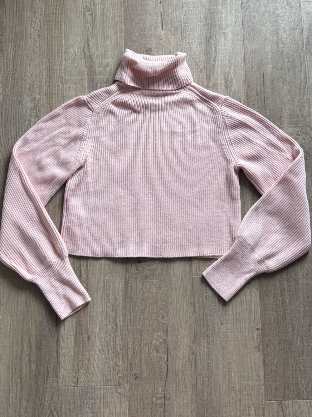 Wilfred Rebecca Turtleneck in Pink